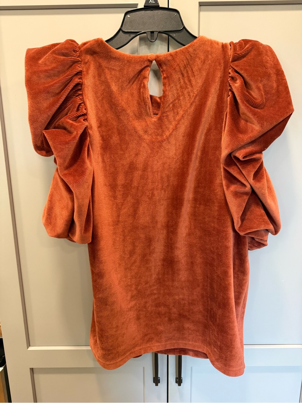 THML Rust Velvet Ruffled-Sleeve Blouse - Picture 4 of 5
